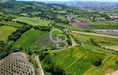 Bursa Mustafakemalpaşa Keltaş’ta Yola Cepheli 2926 m² Satılık Yatırımlık Tarla