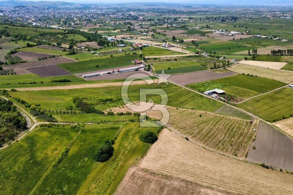 Bursa Mustafakemalpaşa Keltaş’ta Yola Cepheli 2926 m² Satılık Yatırımlık Tarla