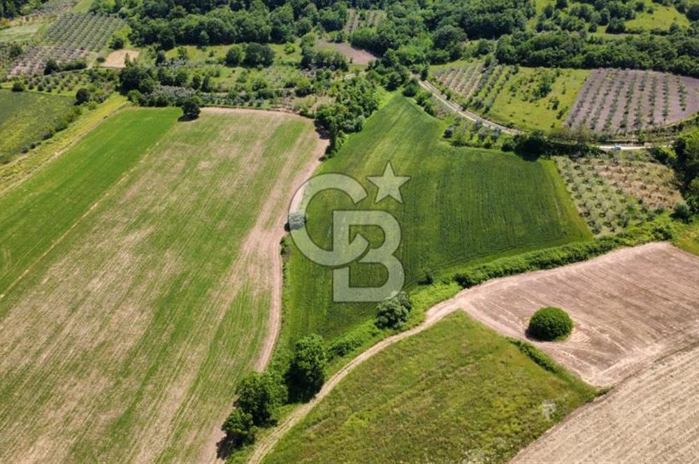 Bursa Mustafakemalpaşa Keltaş’ta Yola Cepheli 2926 m² Satılık Yatırımlık Tarla
