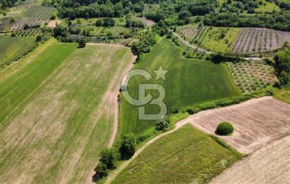 Bursa Mustafakemalpaşa Keltaş’ta Yola Cepheli 2926 m² Satılık Yatırımlık Tarla