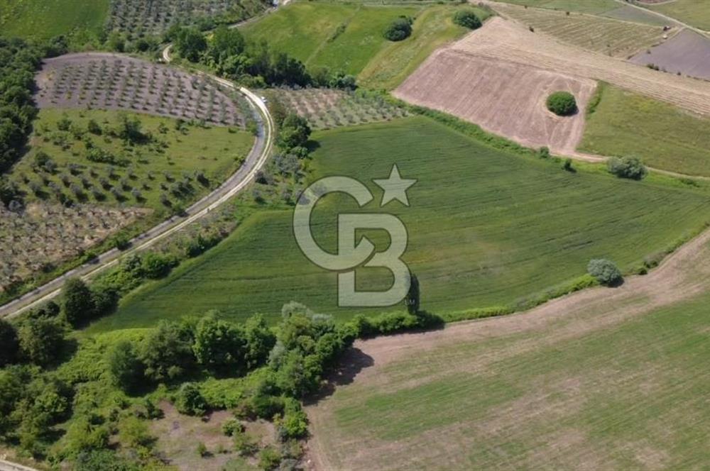 Bursa Mustafakemalpaşa Keltaş’ta Yola Cepheli 2926 m² Satılık Yatırımlık Tarla