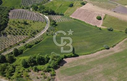 Bursa Mustafakemalpaşa Keltaş’ta Yola Cepheli 2926 m² Satılık Yatırımlık Tarla