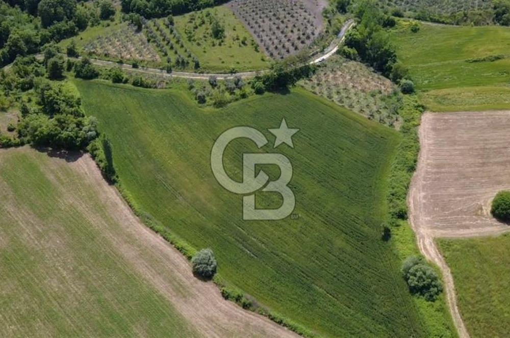 Bursa Mustafakemalpaşa Keltaş’ta Yola Cepheli 2926 m² Satılık Yatırımlık Tarla