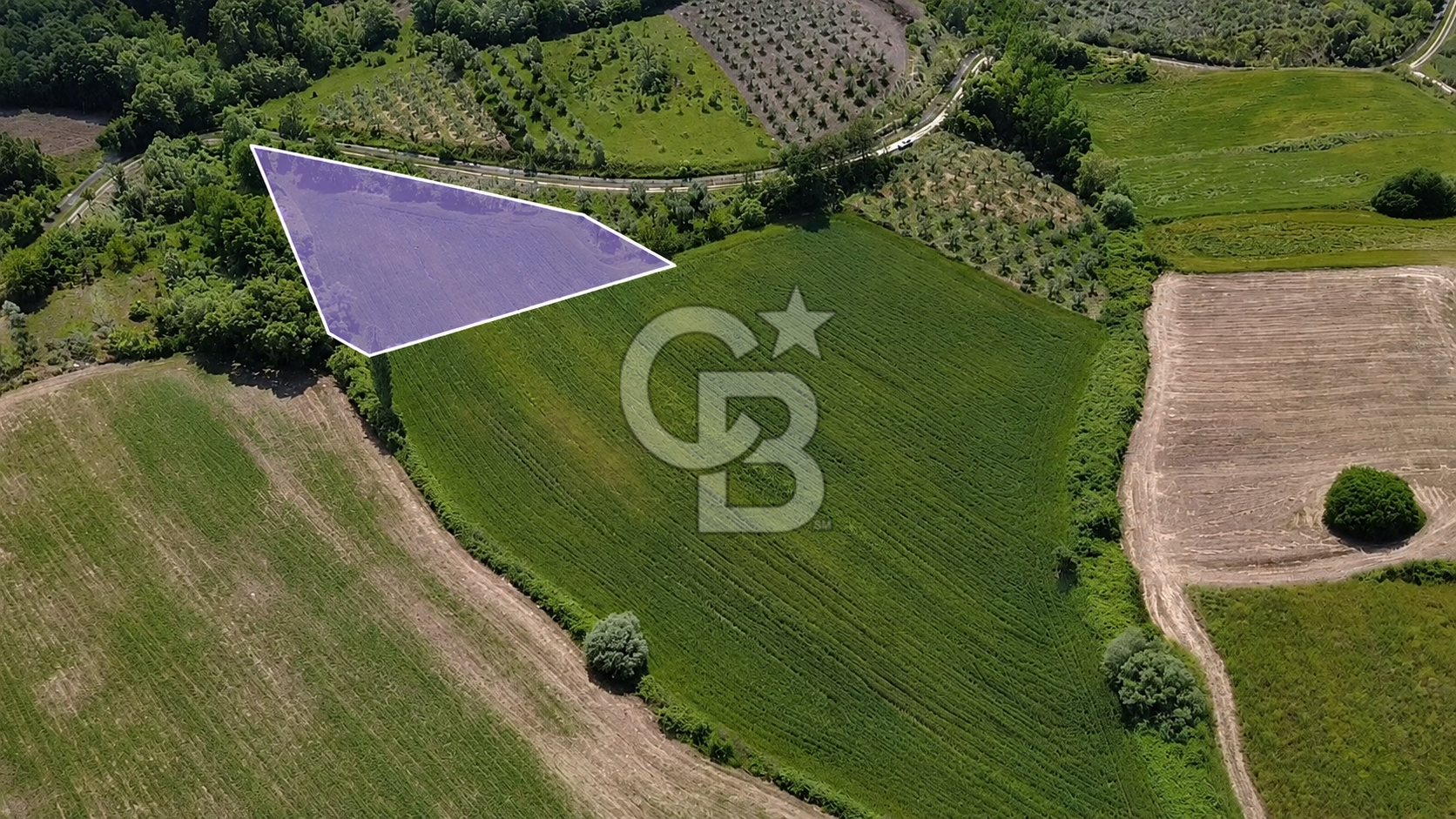 Bursa Mustafakemalpaşa Keltaş’ta Yola Cepheli 2926 m² Satılık Yatırımlık Tarla