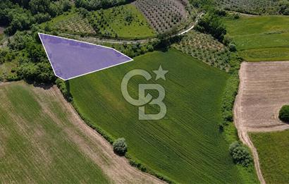 Bursa Mustafakemalpaşa Keltaş’ta Yola Cepheli 2926 m² Satılık Yatırımlık Tarla