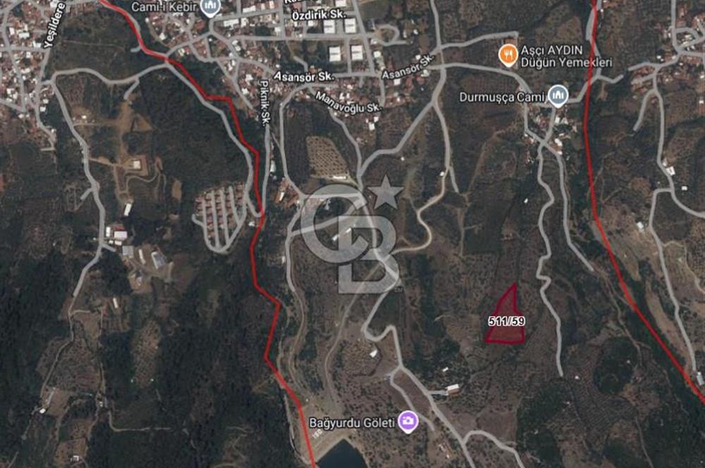 Kemalpaşa Bağyurdu 29 Ekim’de 5812 m2 Eşsiz Manzaralı Satılık Zeytinlik 