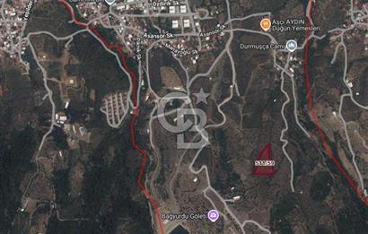 Kemalpaşa Bağyurdu 29 Ekim’de 5812 m2 Eşsiz Manzaralı Satılık Zeytinlik 