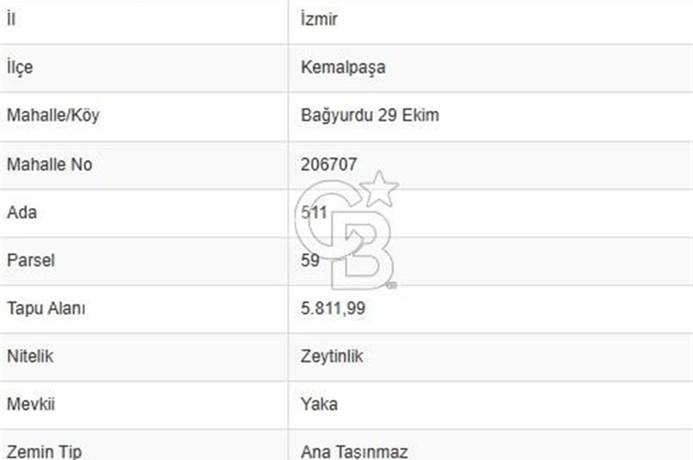 Kemalpaşa Bağyurdu 29 Ekim’de 5812 m2 Eşsiz Manzaralı Satılık Zeytinlik 