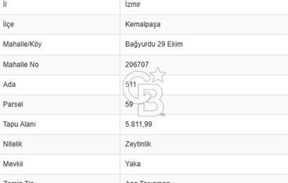 Kemalpaşa Bağyurdu 29 Ekim’de 5812 m2 Eşsiz Manzaralı Satılık Zeytinlik 