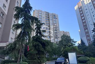 Beylikdüzü Gürpınar Yeşilkent 2 Sitesinde 6. Katta 3+1 Satılık Daire - 9 - 349982