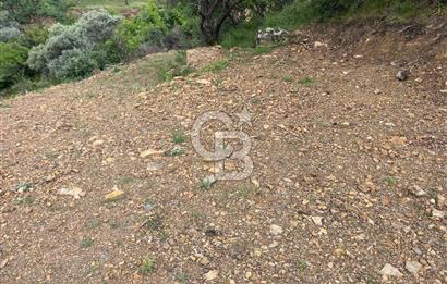 Kemalpaşa Bağyurdu 29 Ekim’de 5812 m2 Eşsiz Manzaralı Satılık Zeytinlik 