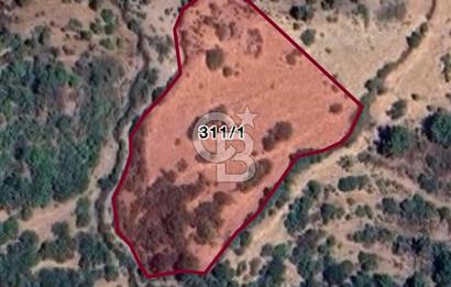 🚨 BERGAMA KARAVELLER’DE 27.721 m² FISTIK ÇAMLI TARLA – KAÇIRILMAYACAK FIRSAT  