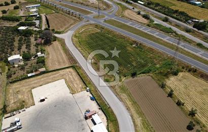 SOLEMİO KARŞISINDA YOL KENARI 3841m2 SATILIK TARLA