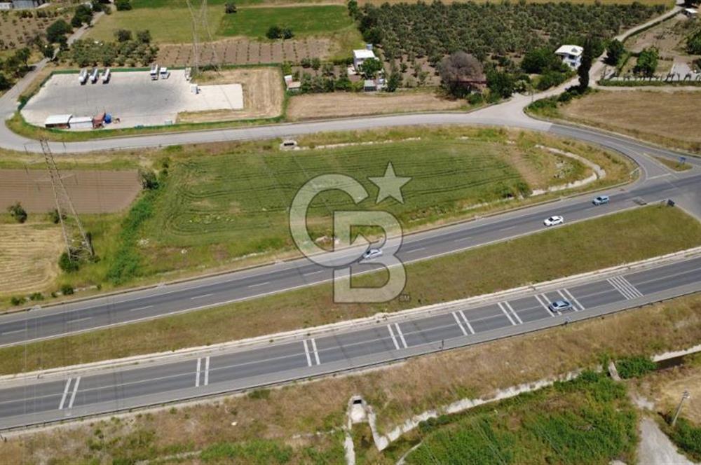 SOLEMİO KARŞISINDA YOL KENARI 3841m2 SATILIK TARLA