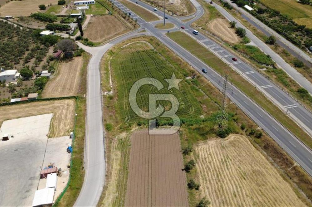 SOLEMİO KARŞISINDA YOL KENARI 3841m2 SATILIK TARLA