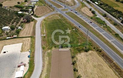 SOLEMİO KARŞISINDA YOL KENARI 3841m2 SATILIK TARLA