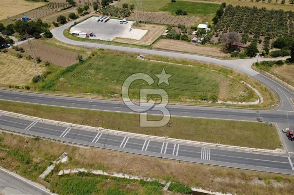 SOLEMİO KARŞISINDA YOL KENARI 3841m2 SATILIK TARLA