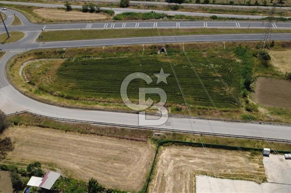 SOLEMİO KARŞISINDA YOL KENARI 3841m2 SATILIK TARLA