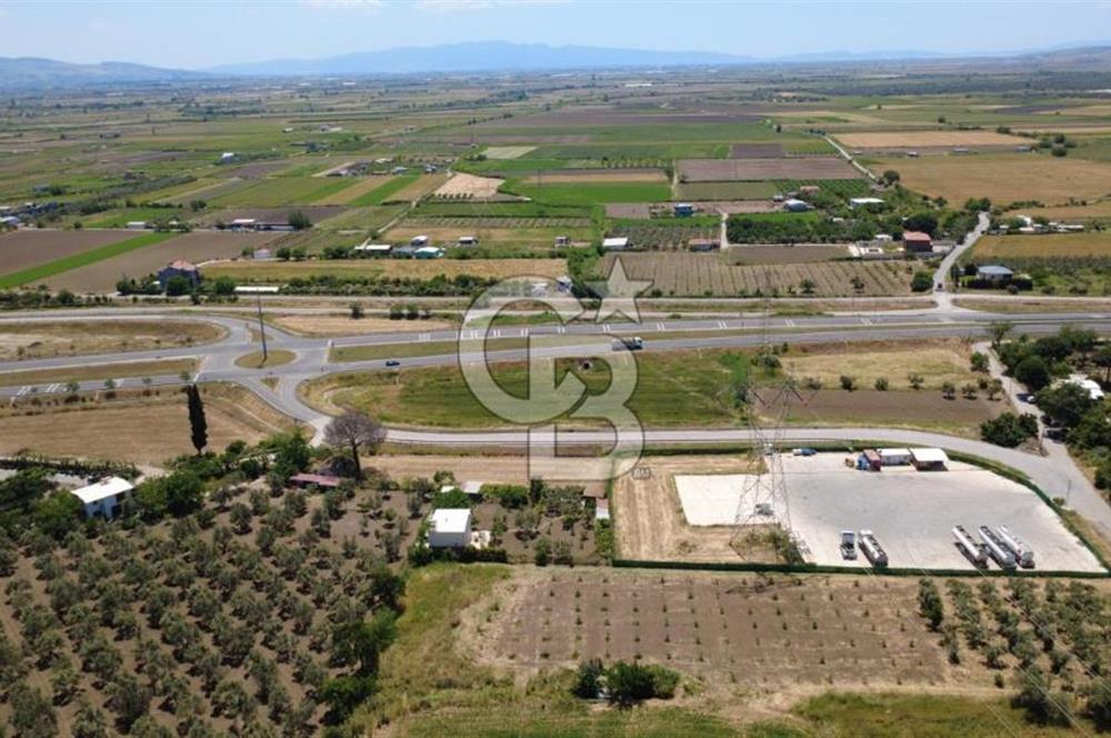 SOLEMİO KARŞISINDA YOL KENARI 3841m2 SATILIK TARLA