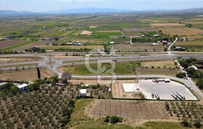SOLEMİO KARŞISINDA YOL KENARI 3841m2 SATILIK TARLA