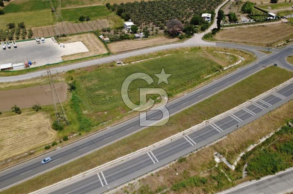 SOLEMİO KARŞISINDA YOL KENARI 3841m2 SATILIK TARLA