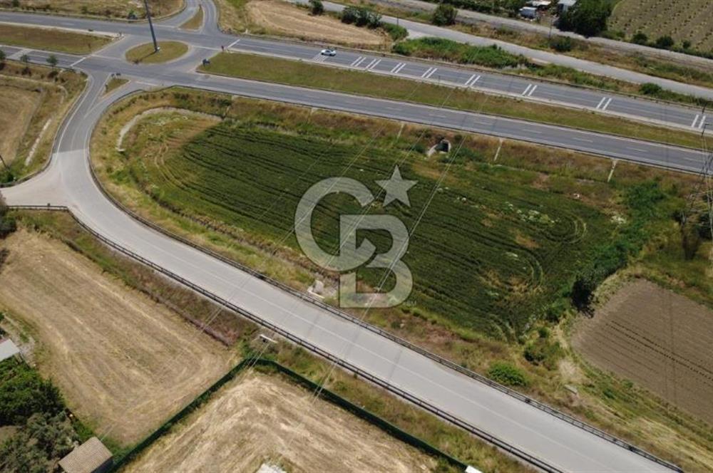 SOLEMİO KARŞISINDA YOL KENARI 3841m2 SATILIK TARLA