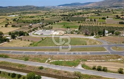 SOLEMİO KARŞISINDA YOL KENARI 3841m2 SATILIK TARLA