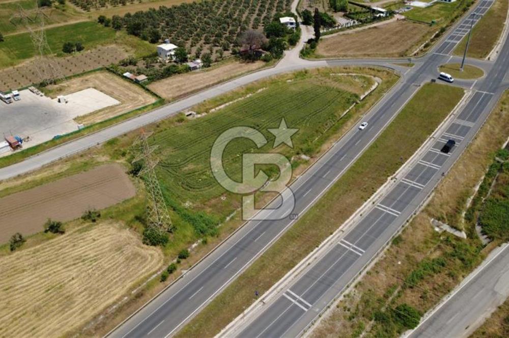 SOLEMİO KARŞISINDA YOL KENARI 3841m2 SATILIK TARLA