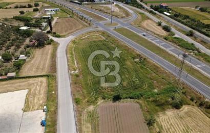 SOLEMİO KARŞISINDA YOL KENARI 3841m2 SATILIK TARLA
