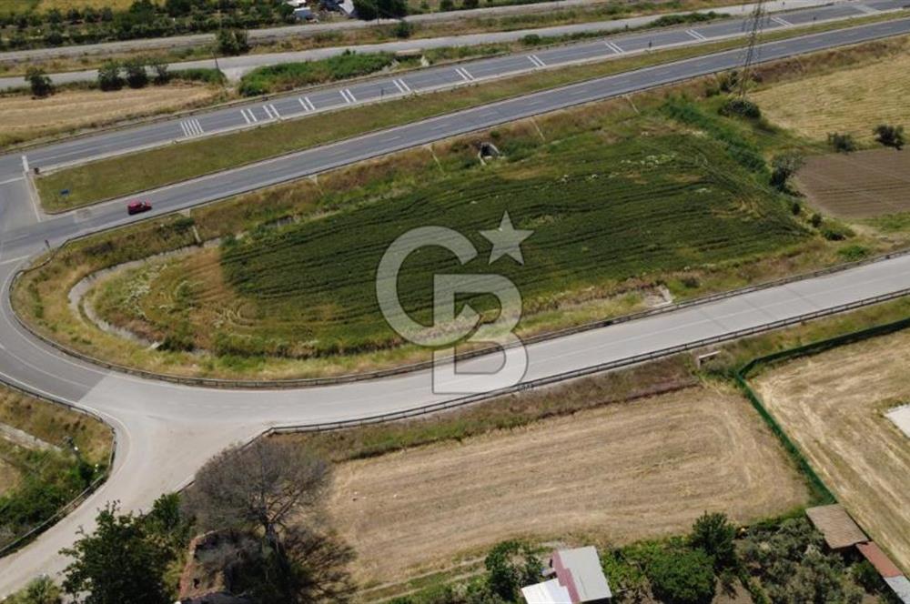 SOLEMİO KARŞISINDA YOL KENARI 3841m2 SATILIK TARLA