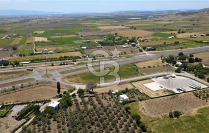 SOLEMİO KARŞISINDA YOL KENARI 3841m2 SATILIK TARLA