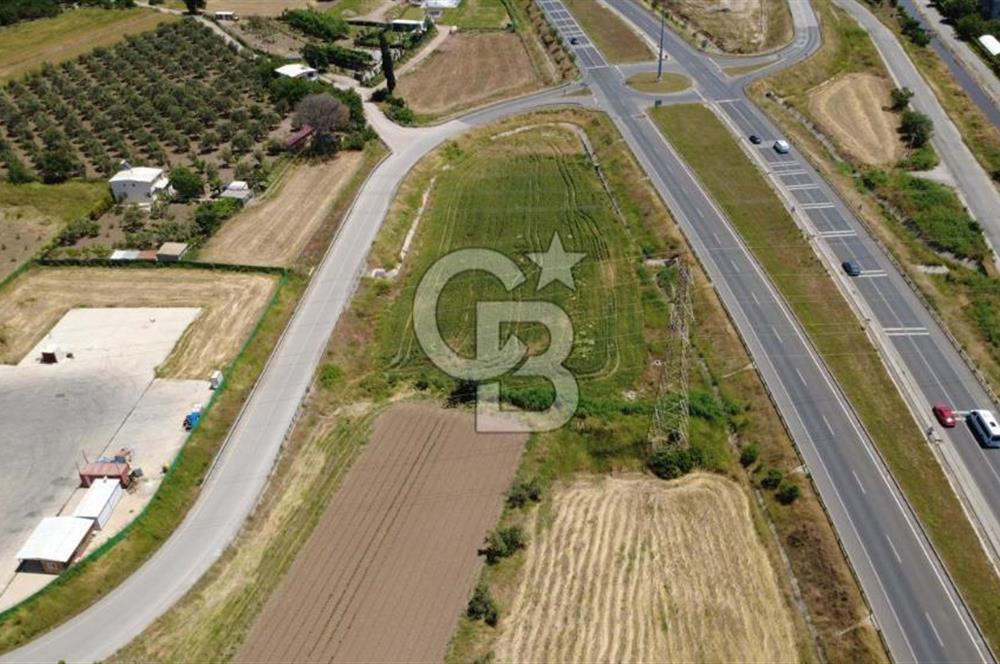 SOLEMİO KARŞISINDA YOL KENARI 3841m2 SATILIK TARLA