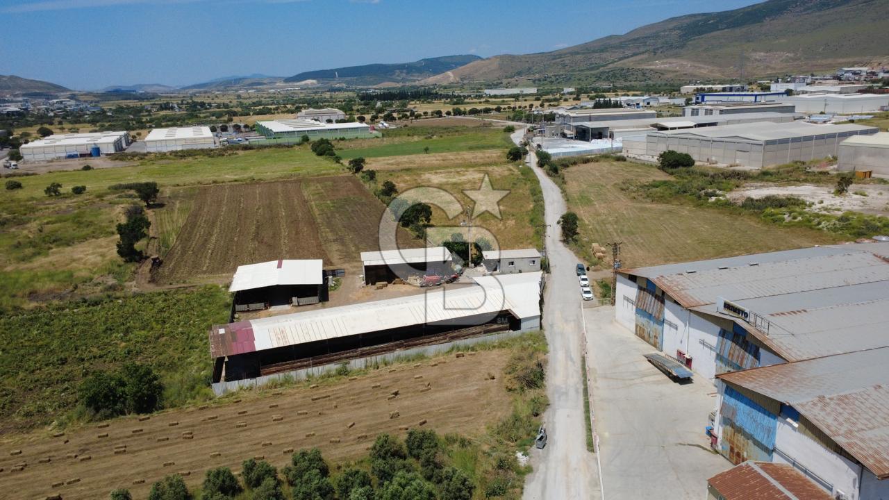 HELVACIDA 8243m2 YOLA CEPHE DEPOLARIN OLDUĞU YERDE TARLA