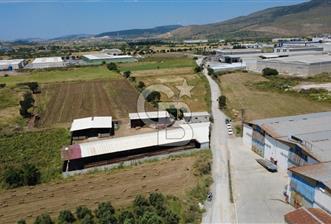 HELVACIDA 8243m2 YOLA CEPHE DEPOLARIN OLDUĞU YERDE TARLA - 9 - 349969
