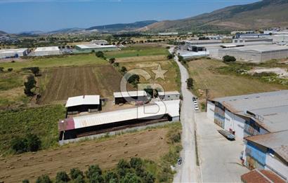 HELVACIDA 8243m2 YOLA CEPHE DEPOLARIN OLDUĞU YERDE TARLA
