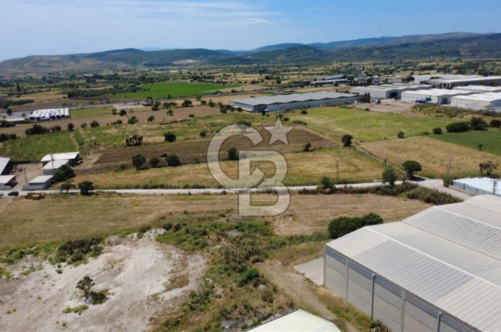 HELVACIDA 8243m2 YOLA CEPHE DEPOLARIN OLDUĞU YERDE TARLA