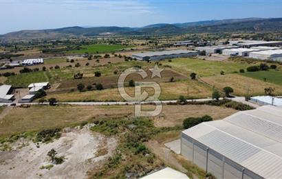 HELVACIDA 8243m2 YOLA CEPHE DEPOLARIN OLDUĞU YERDE TARLA