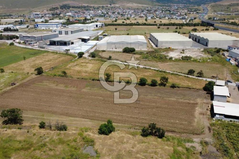 HELVACIDA 8243m2 YOLA CEPHE DEPOLARIN OLDUĞU YERDE TARLA