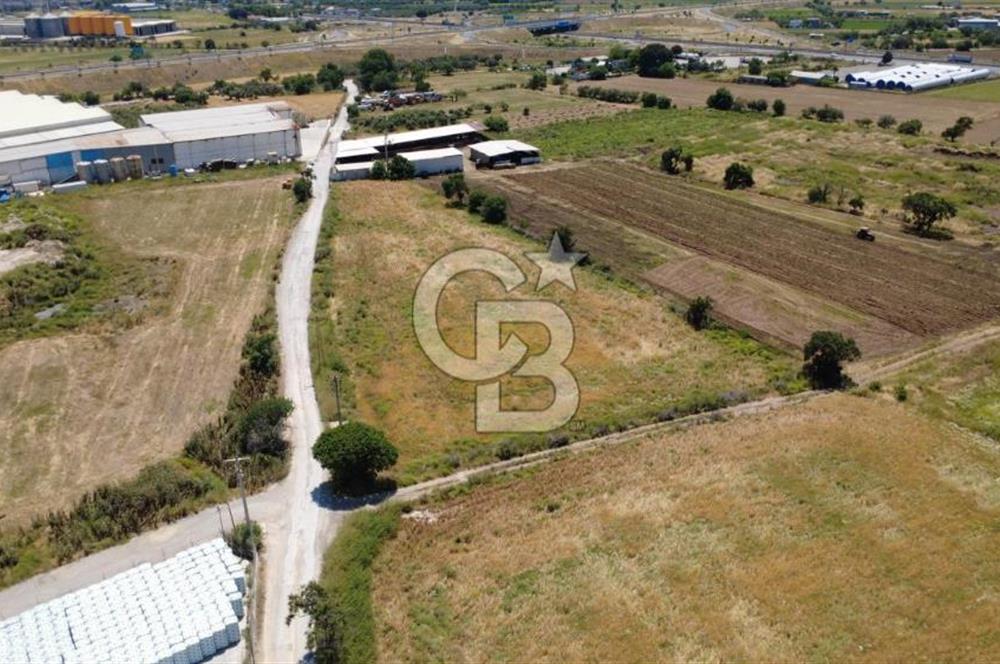 HELVACIDA 8243m2 YOLA CEPHE DEPOLARIN OLDUĞU YERDE TARLA