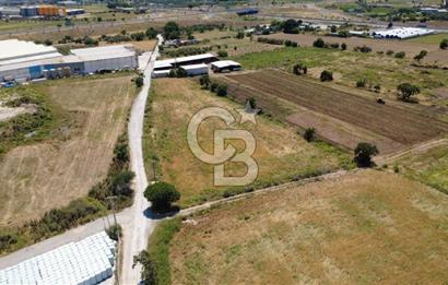 HELVACIDA 8243m2 YOLA CEPHE DEPOLARIN OLDUĞU YERDE TARLA