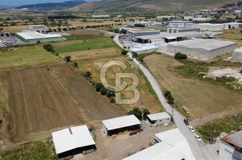 HELVACIDA 8243m2 YOLA CEPHE DEPOLARIN OLDUĞU YERDE TARLA