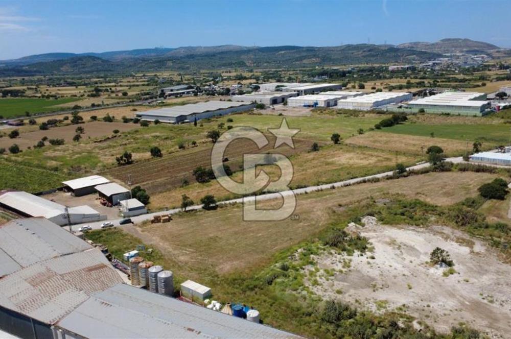 HELVACIDA 8243m2 YOLA CEPHE DEPOLARIN OLDUĞU YERDE TARLA