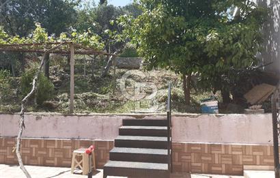 HÜRRİYET MAHALLESİ BAHÇELİ 3 KATLI SATILIK MÜSTAKİL BİNA.