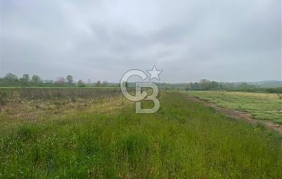BÜYÜK BAŞ HAYVANCILIK İÇİN PROJESİ VE RUHSATI HAZIR 5519M2 ARAZİ