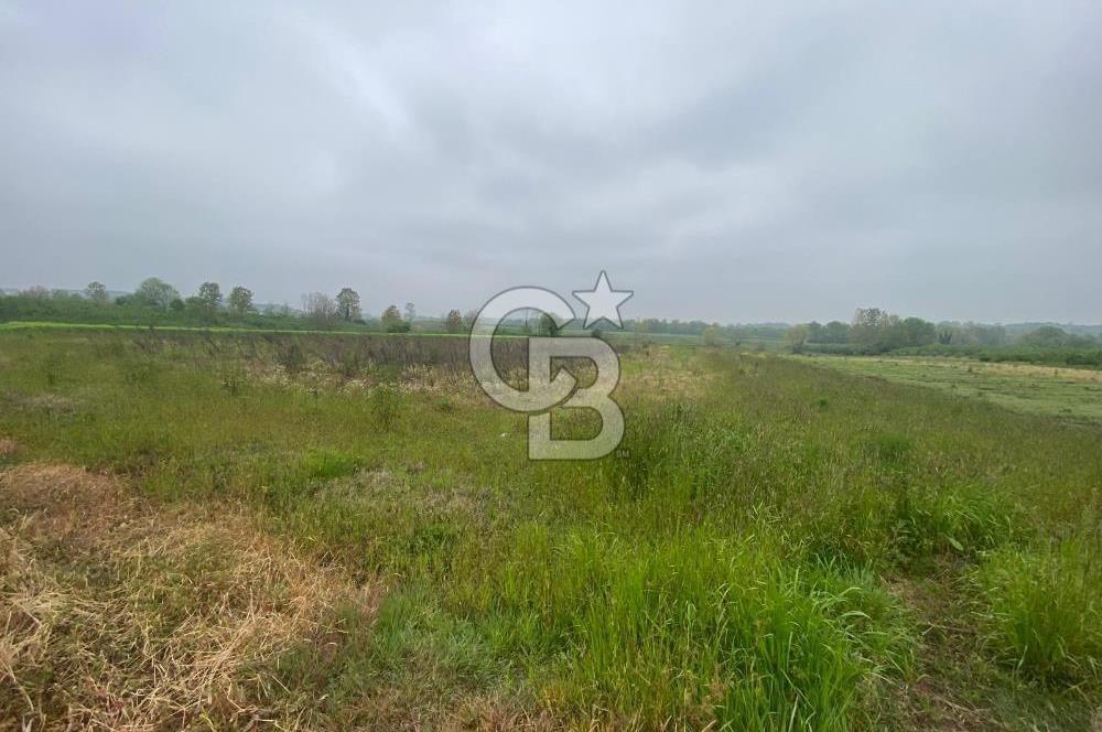 BÜYÜK BAŞ HAYVANCILIK İÇİN PROJESİ VE RUHSATI HAZIR 5519M2 ARAZİ