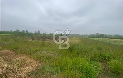 BÜYÜK BAŞ HAYVANCILIK İÇİN PROJESİ VE RUHSATI HAZIR 5519M2 ARAZİ