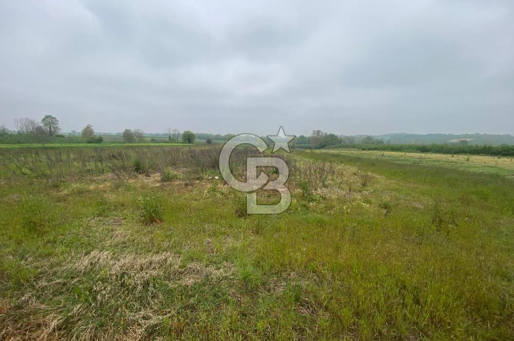 BÜYÜK BAŞ HAYVANCILIK İÇİN PROJESİ VE RUHSATI HAZIR 5519M2 ARAZİ