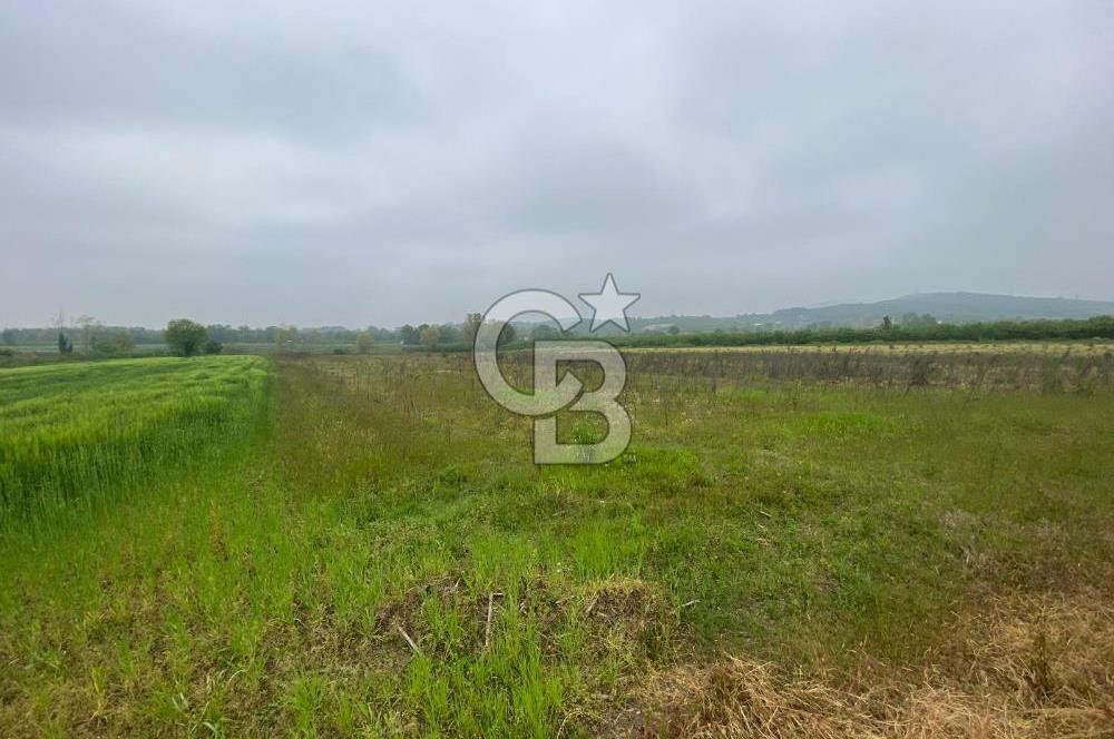 BÜYÜK BAŞ HAYVANCILIK İÇİN PROJESİ VE RUHSATI HAZIR 5519M2 ARAZİ