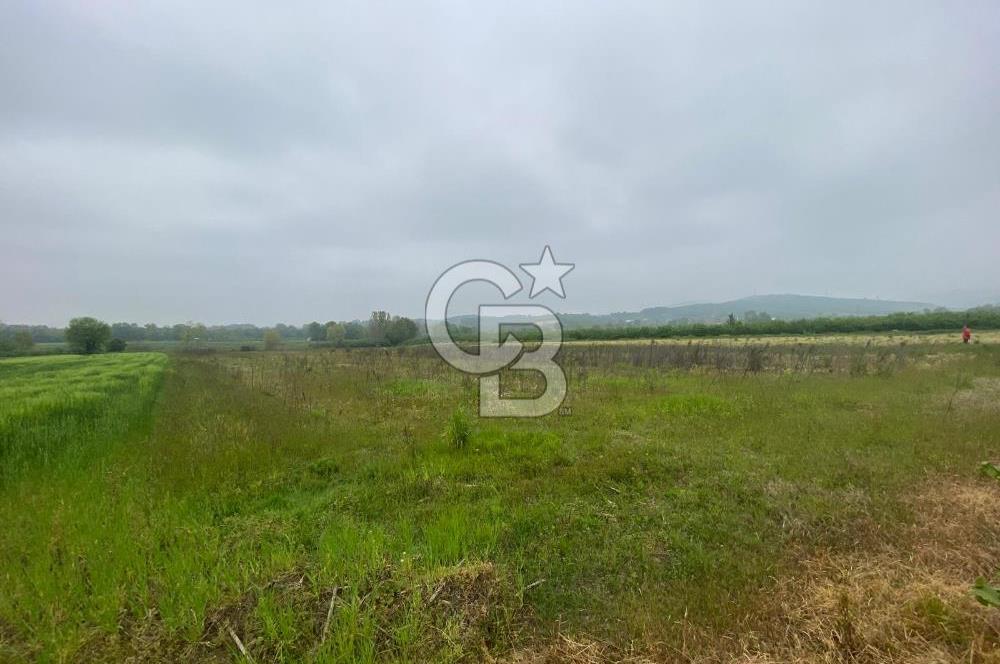 BÜYÜK BAŞ HAYVANCILIK İÇİN PROJESİ VE RUHSATI HAZIR 5519M2 ARAZİ
