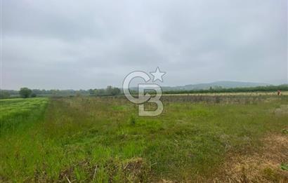 BÜYÜK BAŞ HAYVANCILIK İÇİN PROJESİ VE RUHSATI HAZIR 5519M2 ARAZİ